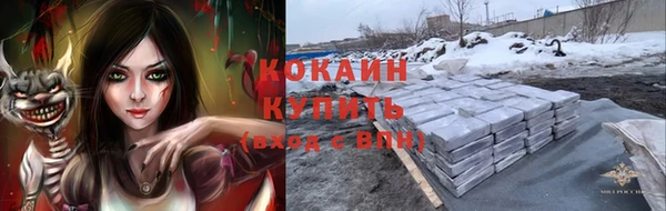 шишки Тобольск
