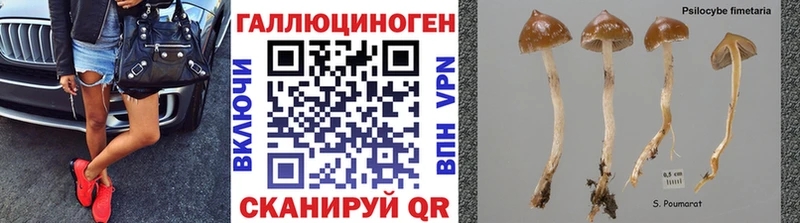Псилоцибиновые грибы ЛСД  KRAKEN   Карасук 